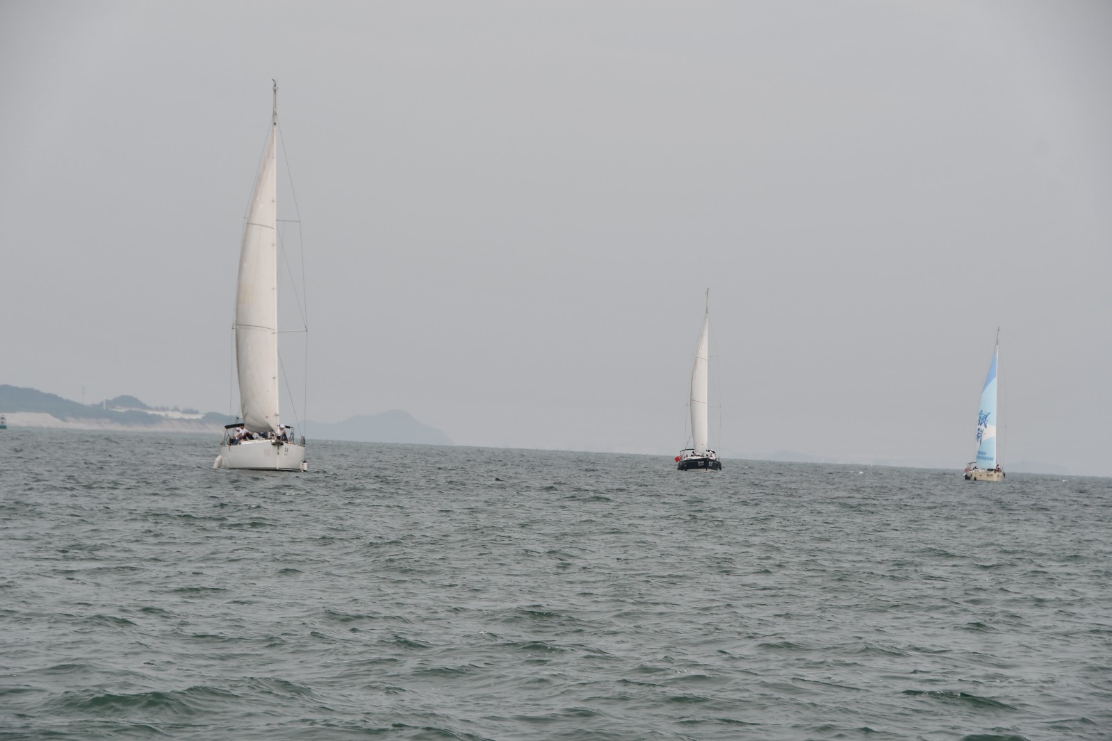 1636351095227379.jpg 1636351095227379.jpg